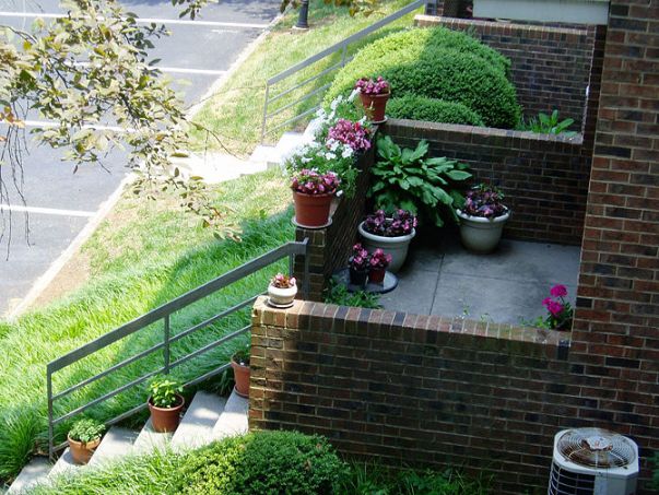 Porch pots.jpg